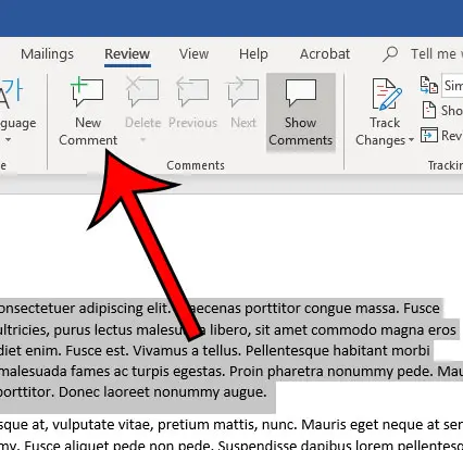 how to insert a comment in word 2010