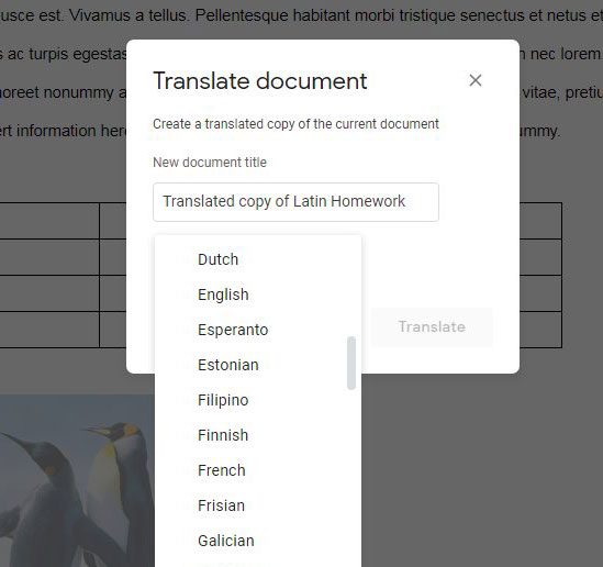 how to translate a document in google docs