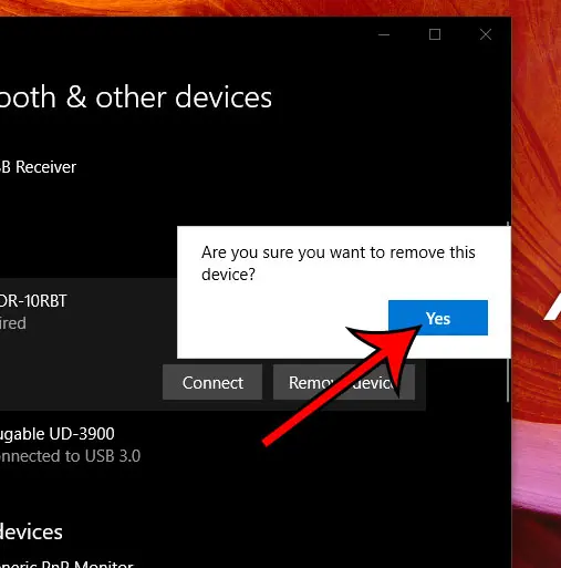 confirm that you want to delete the bluetooth device