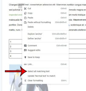 How to Select All Matching Text in Google Docs