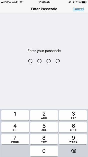 enter the iphone passcode