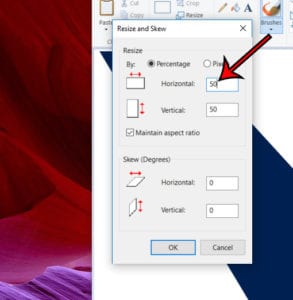 How to Resize Image in Paint