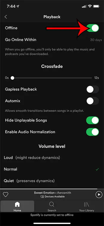 how to go to offline mode in Spotify on an iPhone 11