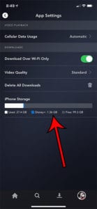 How Much Space are Disney Plus Downloads Using on My iPhone?