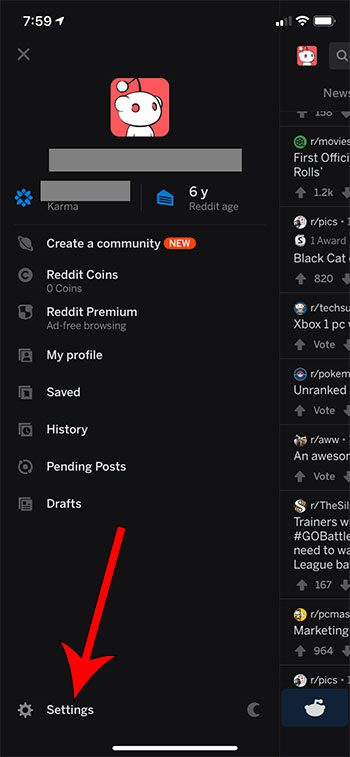 open the Reddit iPhone Settings menu
