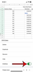 How to View or Hide Gridlines in Google Sheets on an iPhone