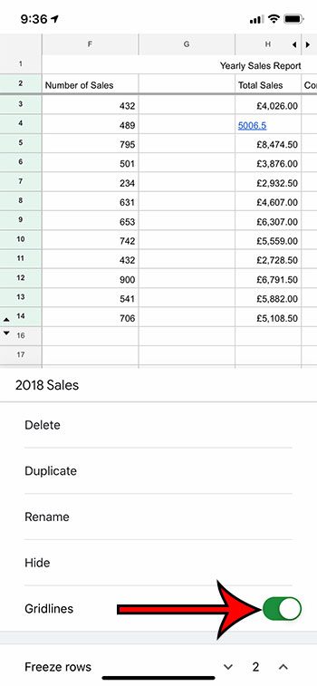 how to hide or view gridlines in the Google Sheets iPhone app