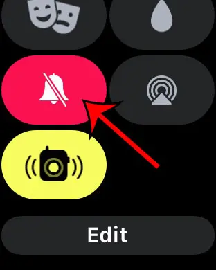 how to put Apple Watch on silent