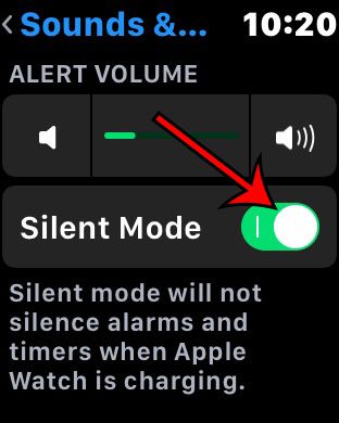 how to turn off ringer and alerts on Apple Watch