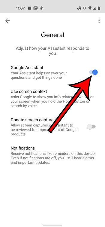 tap the Google Assistant button