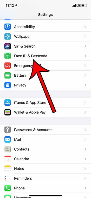 open the Face ID and Passcode menu