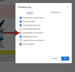 how to turn off autocorrect in Google Docs