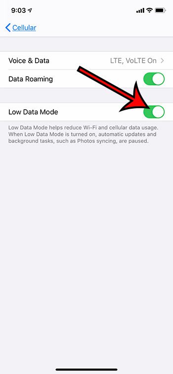 how to enable Low Data Mode on an iPhone 11