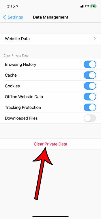 choose type of data to delete, then tap Clear Private Data