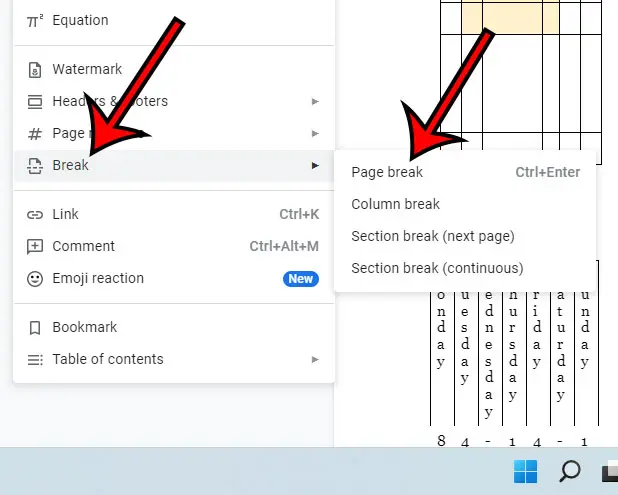 how to insert a page break in Google Docs