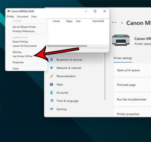 how to get printer online in Windows 10