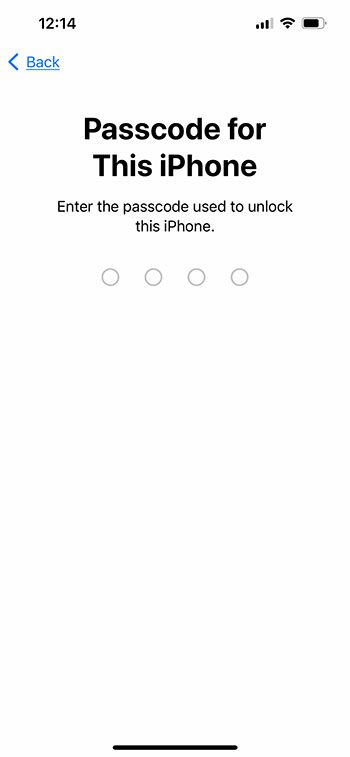 enter your iPhone passcode