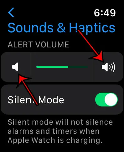 turn the Apple Watch volume up or down