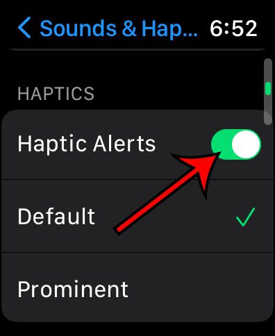 how to turn Haptic Alerts on or off on an Apple Watch
