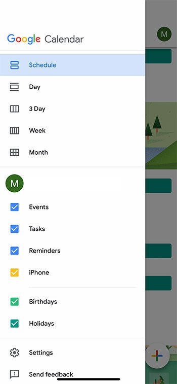 how to switch the Google Calendar view type