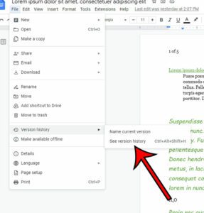 how to check editing history on Google Docs