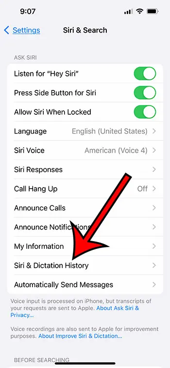 choose Siri and Dictation History