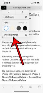 iPhone Safari tips