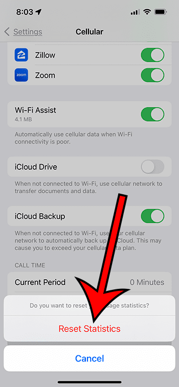 how to reset cellular data usage statistics on iPhone 13