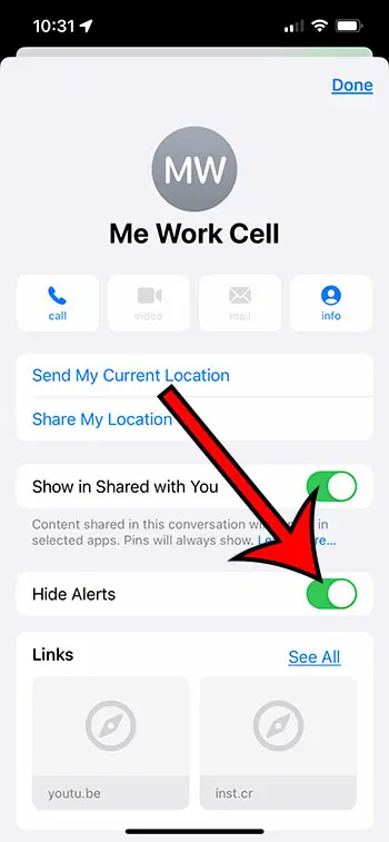 iPhone Hide Alerts option
