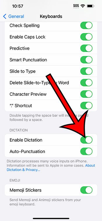 how to enable dictation on iPhone 14