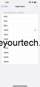 how to change page zoom in Safari on iPhone 14