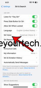 how to change Siri voice on iPhone 14