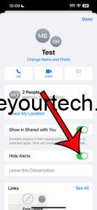 how to mute a group text on iPhone