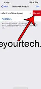 iOS 17: How to Unblock a Contact on Your iPhone Easily