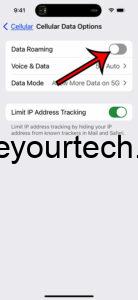 iPhone 15 - How to Turn Off Data Roaming