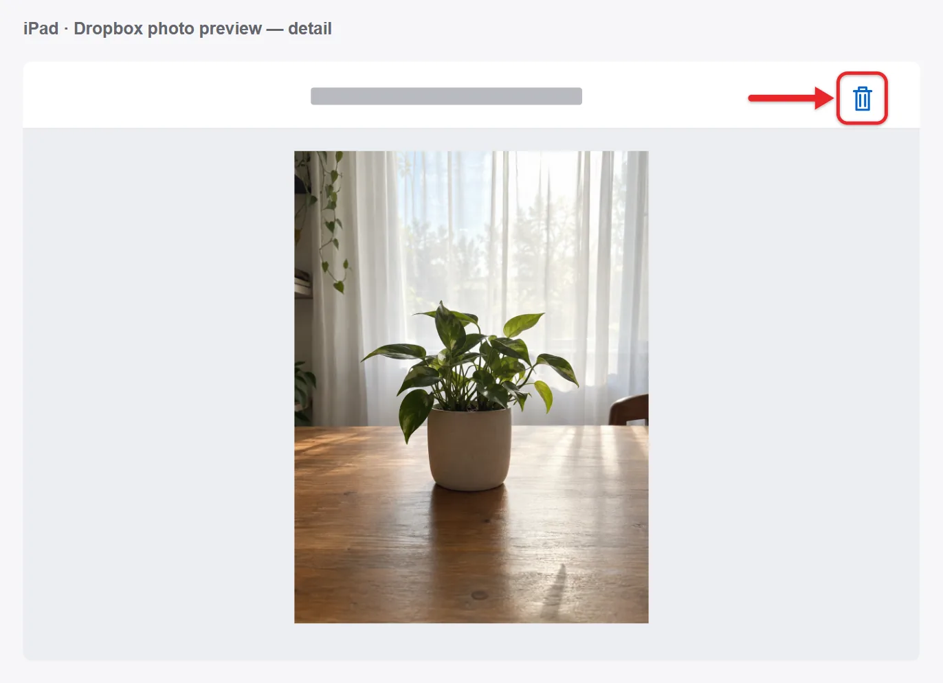 How to Delete a Picture in the Dropbox iPhone App 3 Recreated Dropbox iPad photo-preview detail with a concealed filename, a generated plant photo, and the top-right trash button highlighted