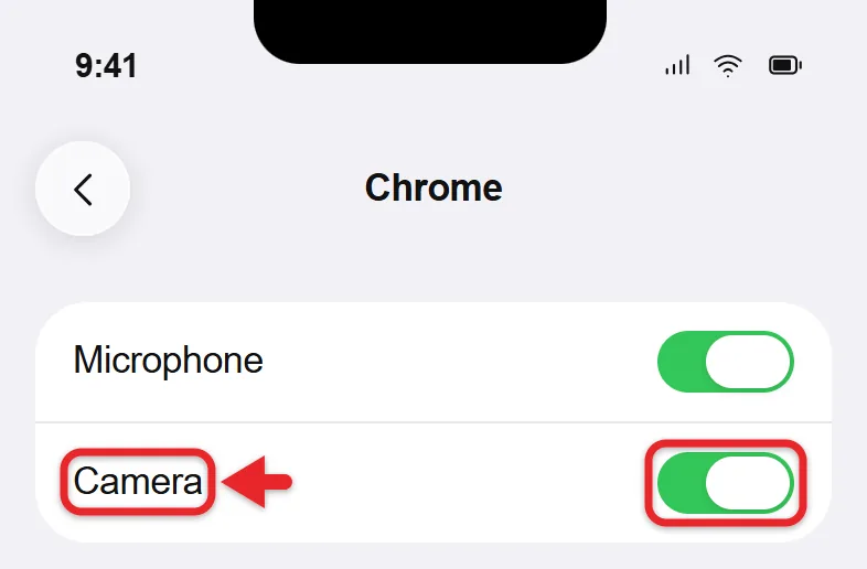 How to Allow Chrome to Use the Camera on iPhone 2 Chrome settings screen on iPhone with the Camera switch turned on and the Microphone switch below