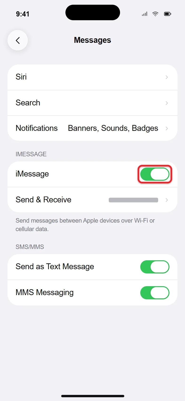 How to Turn On iMessage on iPhone 1 iMessage switch turned on in iPhone Messages settings