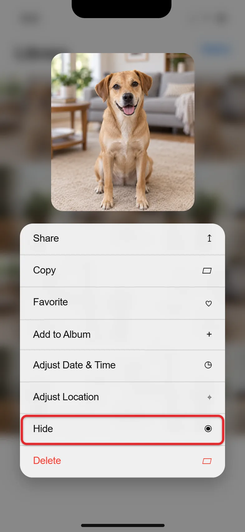 How to Hide a Picture on iPhone 13 (and Newer iPhones) 1 Photos touch-and-hold menu with the Hide option