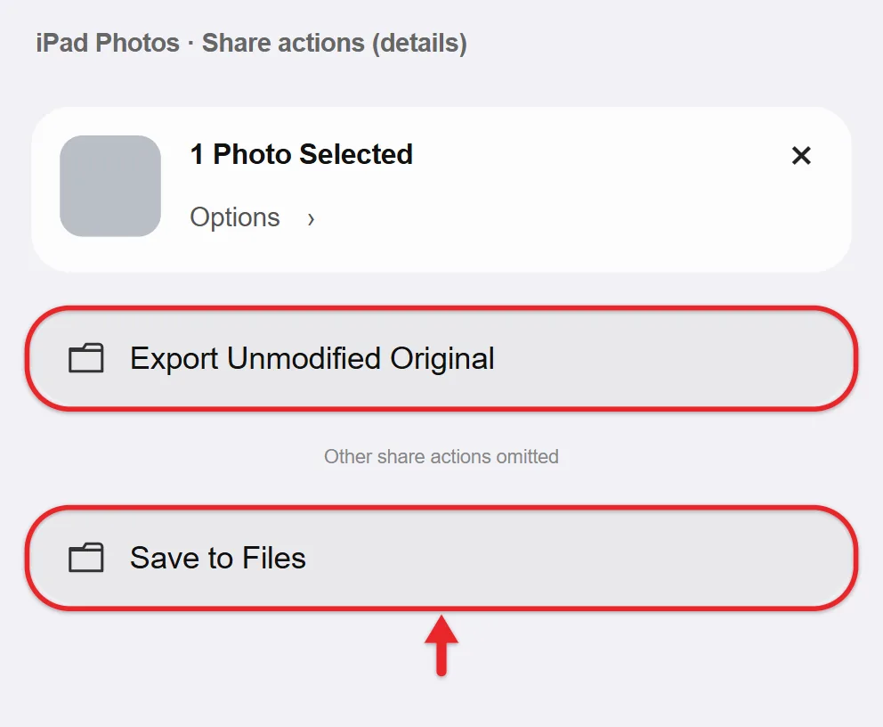 How to Transfer Photos from iPad to a Flash Drive 2 Recreated iPad Photos share-action details highlighting Export Unmodified Original and Save to Files