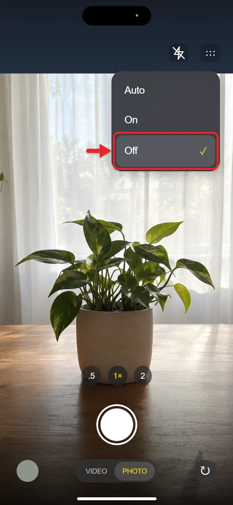 How to Turn Off the Camera Flash on an iPhone 2 Flash menu in the iPhone Camera app with Auto, On and Off choices
