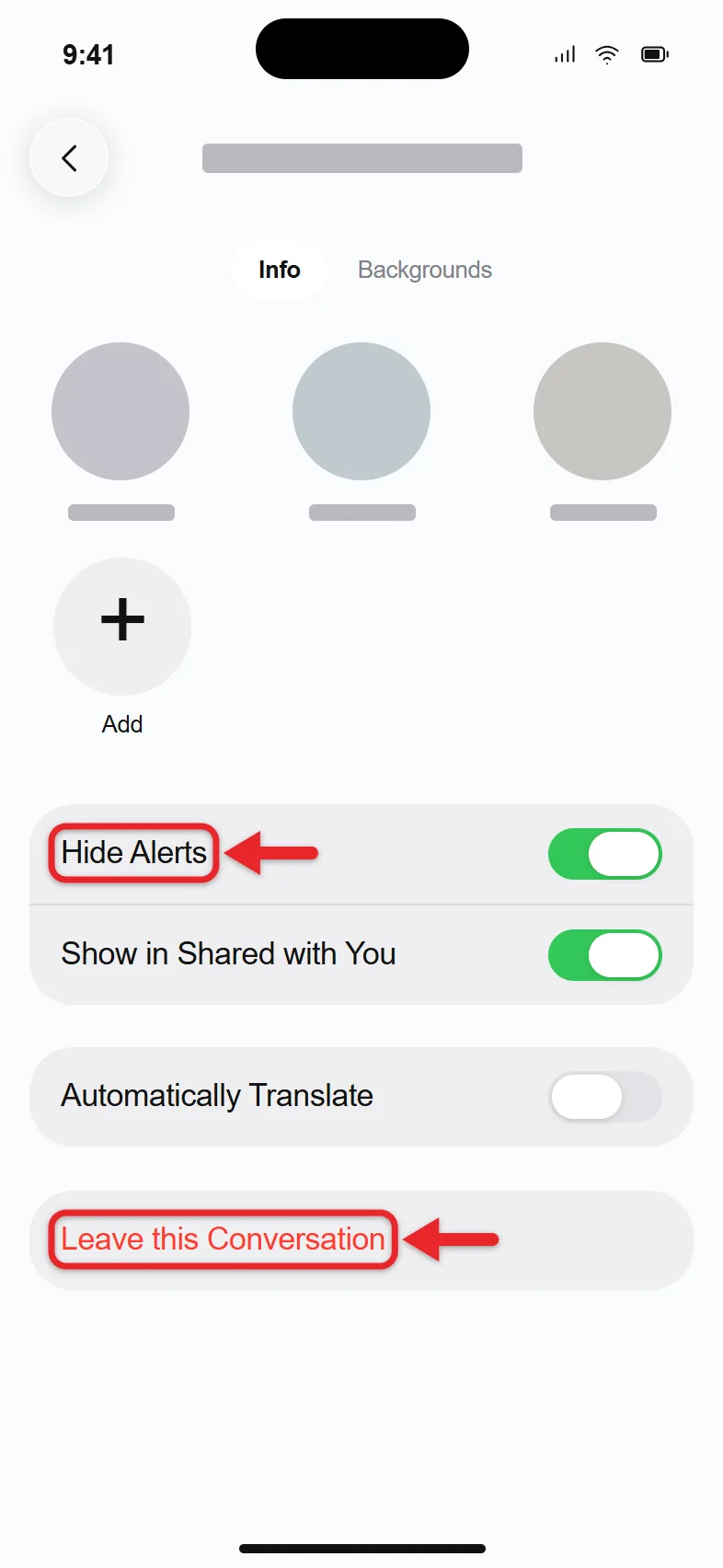 How to Start, Name, and Leave a Group Text on iPhone 3 iPhone group details with Hide Alerts and Leave this Conversation options