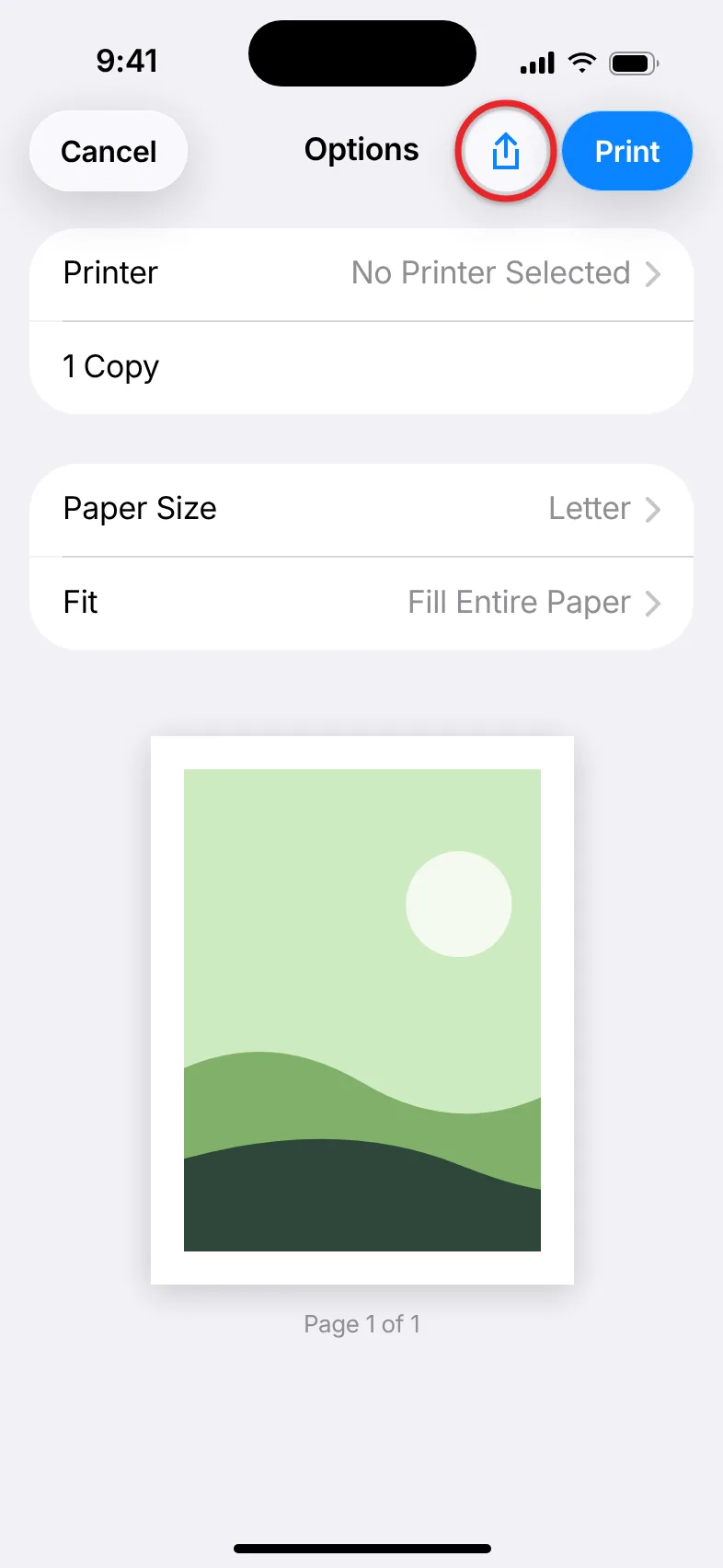 How to Save a Picture as a PDF on an iPhone 1 iPhone Print Options screen for a photo with the Share button at the top