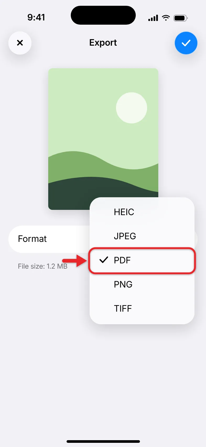 How to Save a Picture as a PDF on an iPhone 4 Preview app on iPhone exporting an image with PDF selected as the format