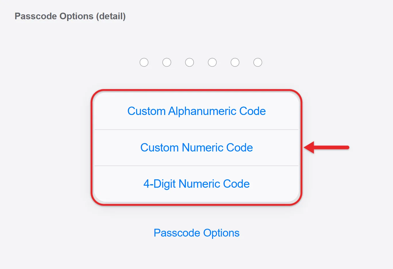 How to Set a Passcode to Unlock Your iPad 2 Recreated iPad Passcode Options menu showing Custom Alphanumeric Code, Custom Numeric Code and 4-Digit Numeric Code