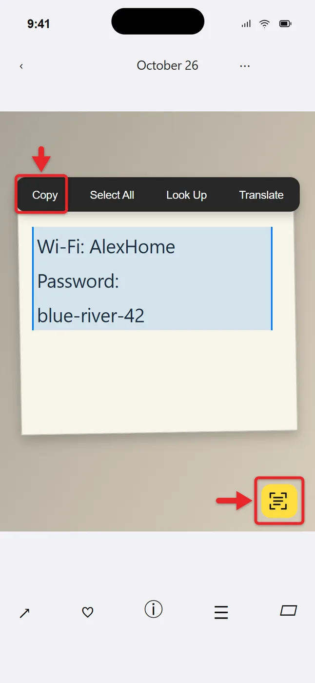 How to Use Live Text on iPhone 2 Live Text selection menu with Copy on a photo in the iPhone Photos app