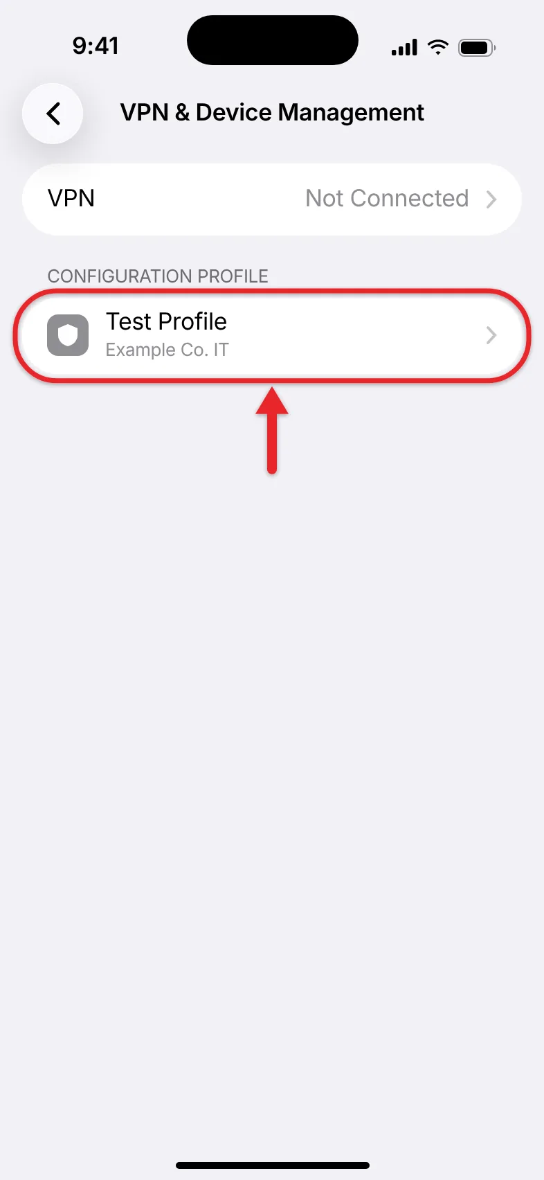 5 Common Types of Phone Viruses and How to Know If You Have One 1 iPhone VPN and Device Management settings screen listing installed configuration profiles