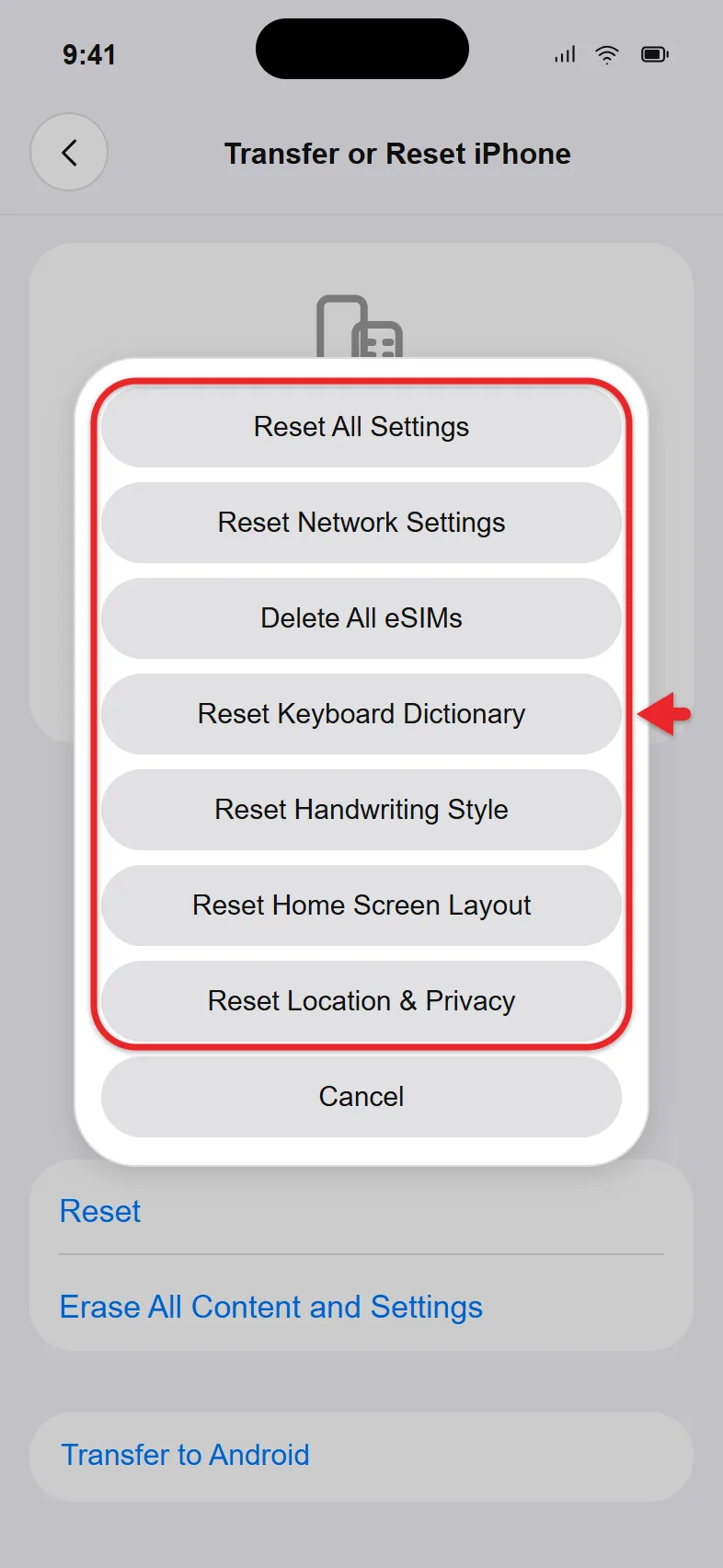 What Are the iPhone Reset Options? 1 iPhone Reset menu listing Reset All Settings, Reset Network Settings, Delete All eSIMs and four other options