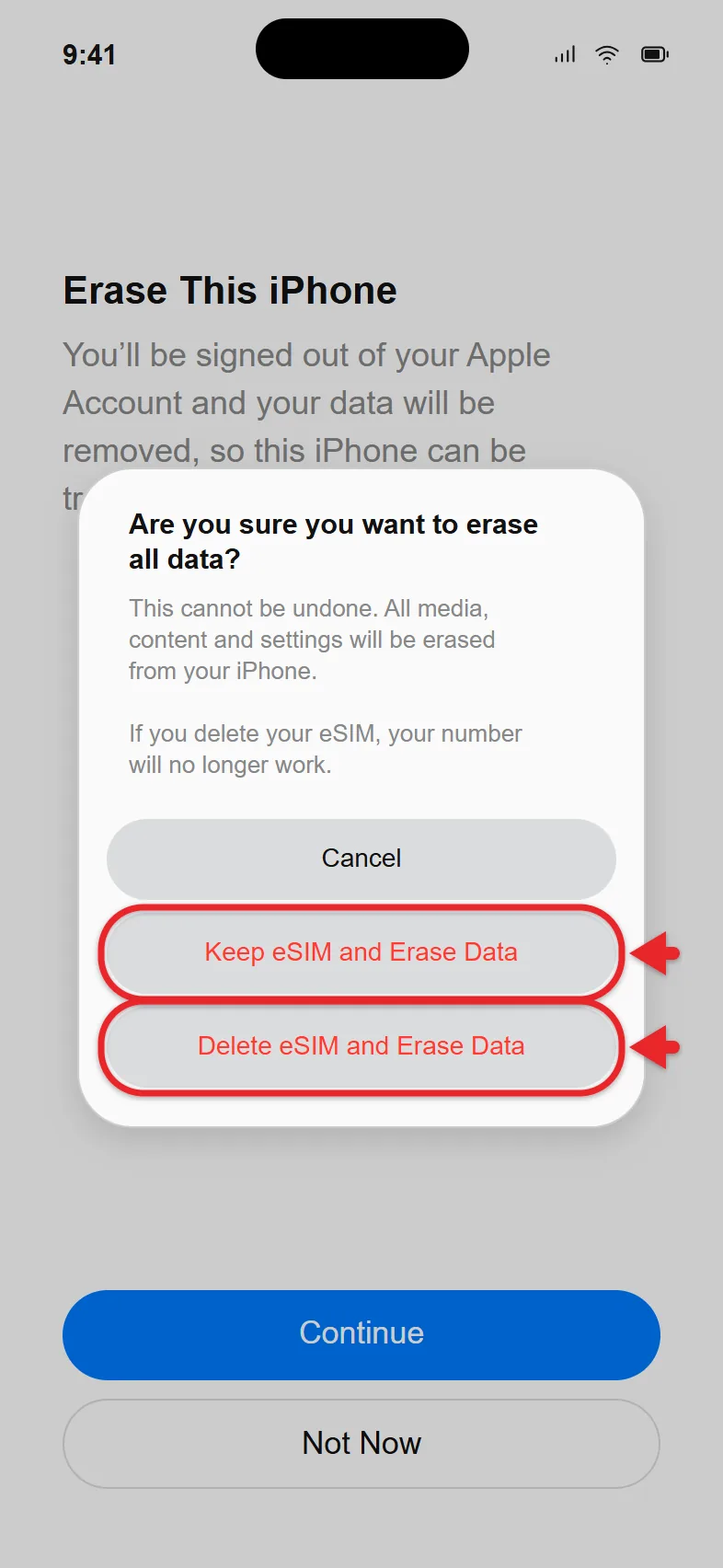 What Are the iPhone Reset Options? 3 iPhone erase alert asking whether to keep or delete the eSIM