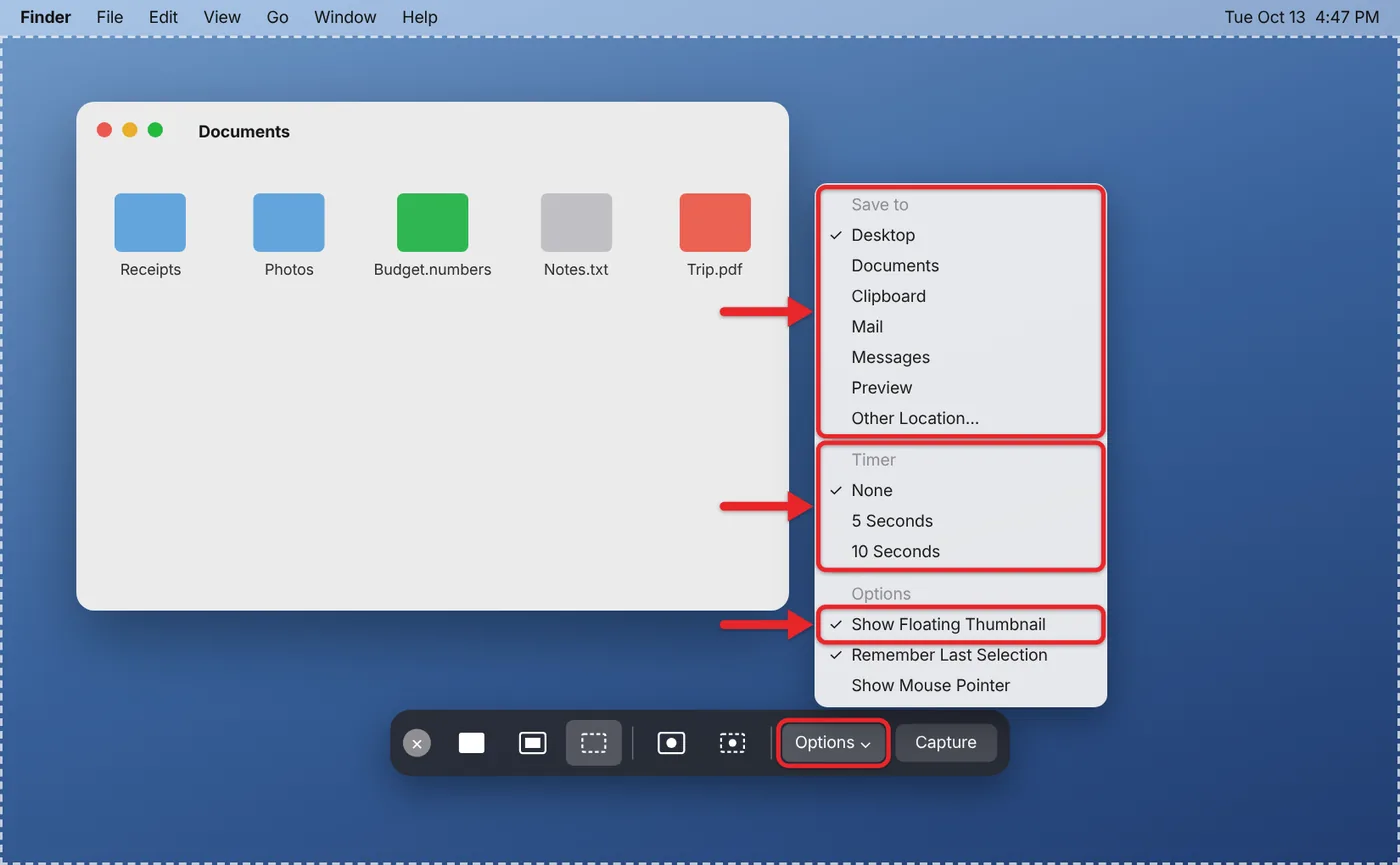What Is a Screenshot and How Do I Take One? 2 Mac Screenshot toolbar with the Options menu showing save location and timer settings